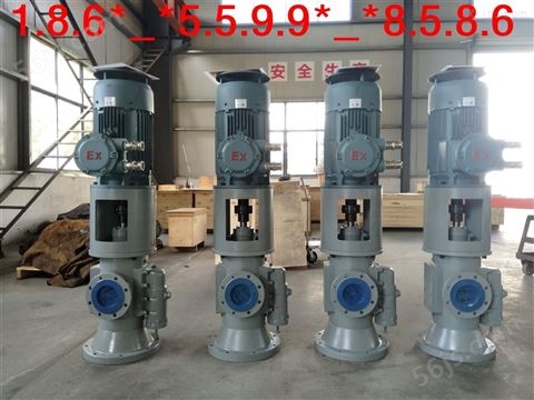 循环泵 规格:HSNH210-36T4/Y132S-4B3/型号:HSN黄山铁人泵业3gl系列立式三