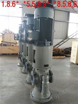螺杆泵HSNS940-54泵业黄山三螺杆泵 机械密封