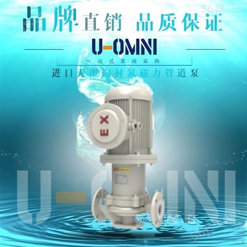 衬氟高温耐颗粒驱动泵-美国欧姆尼U-OMNI