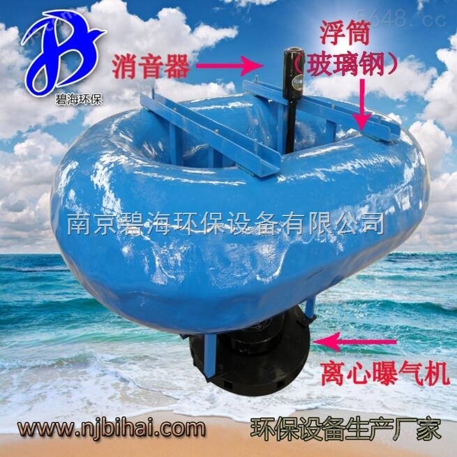 玻璃钢浮筒潜水搅拌机 FQJB7.5/12 掌柜* 立式环流搅拌设备