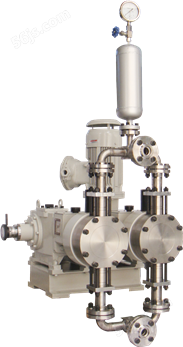 2PJ8(M)系列双泵头柱塞式/液压隔膜式计量泵