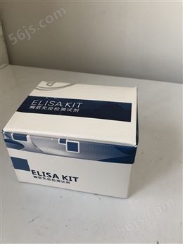 销售ELISA 试剂盒批发