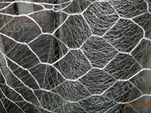 不锈钢拧花六角网
