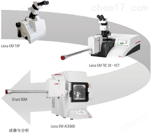 Leica EM TIC 3X离子研磨切割抛光供应商